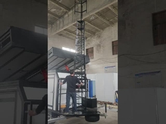 μίνι αγελάδα