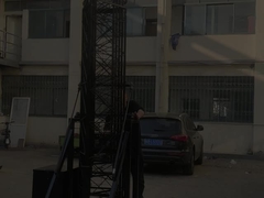 μίνι αγελάδα